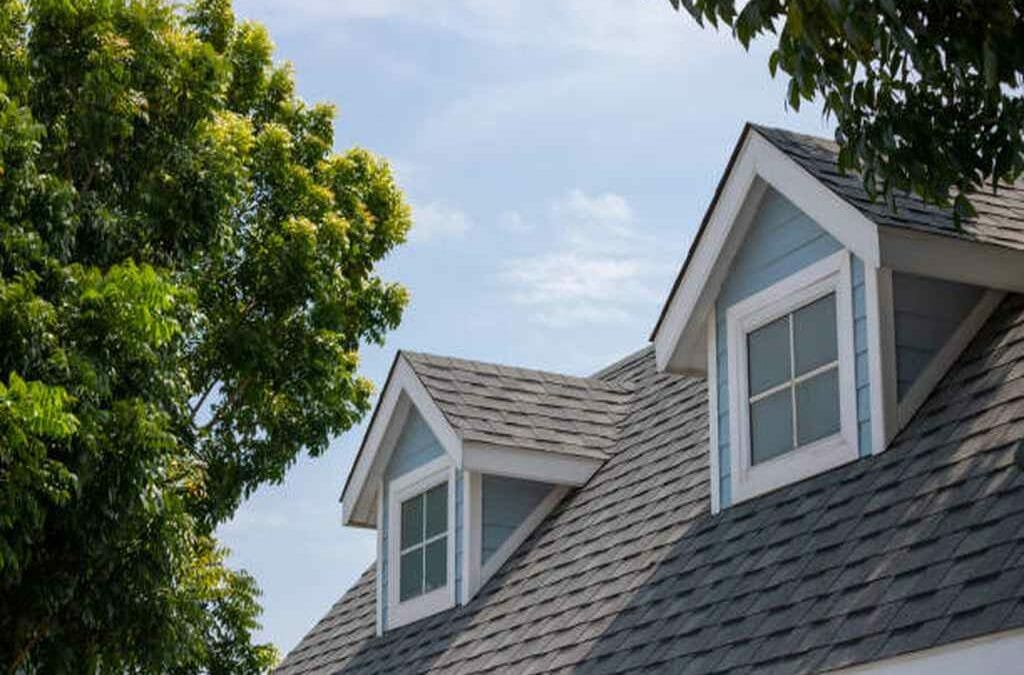 Why Denver Homeowners Should Consider Roof Rejuvenation