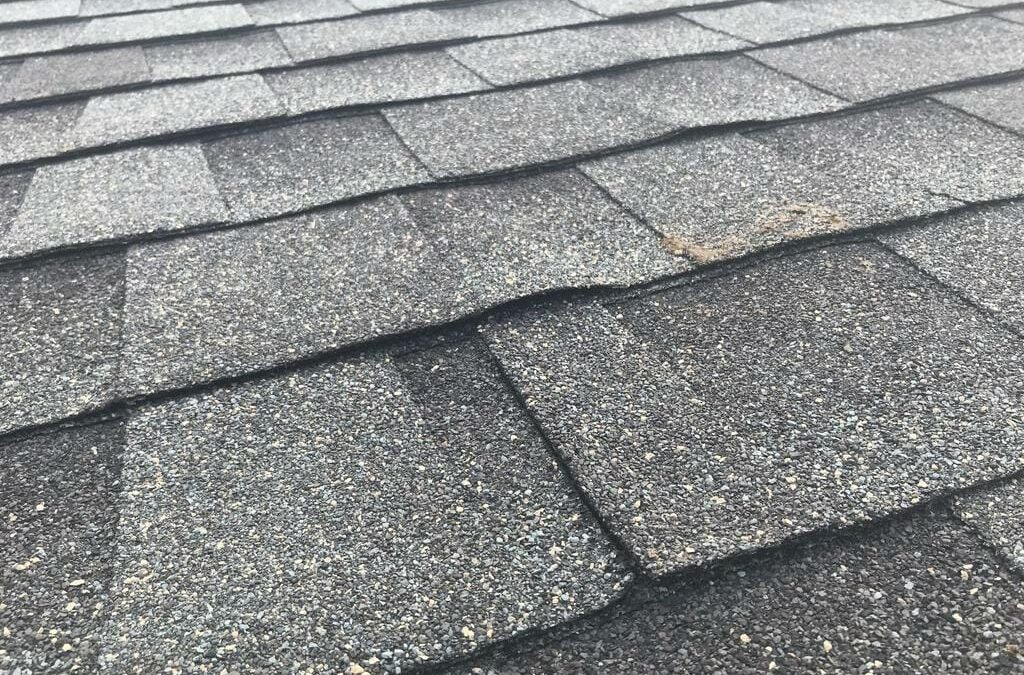 new asphalt shingle roof