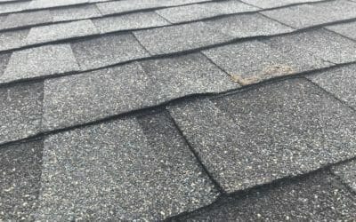 What Can I Expect to Pay for a New Asphalt Shingle Roof in Silverthorne?