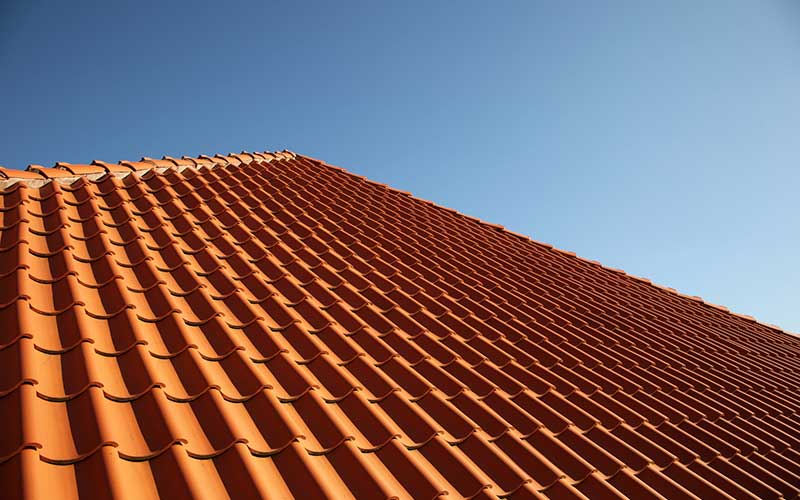 Denver Roofer – The ,000 Question