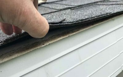 4 Things to Know if my Asphalt Shingle Roofs Are Bad?