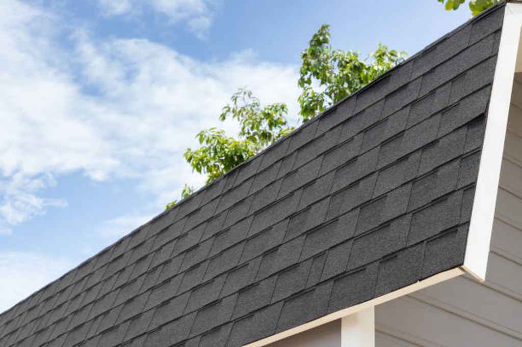 Denver roof rejuvenation experts