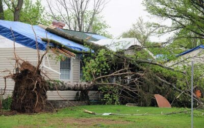 What to Do If a Storm Damages Your Winterpark Roof