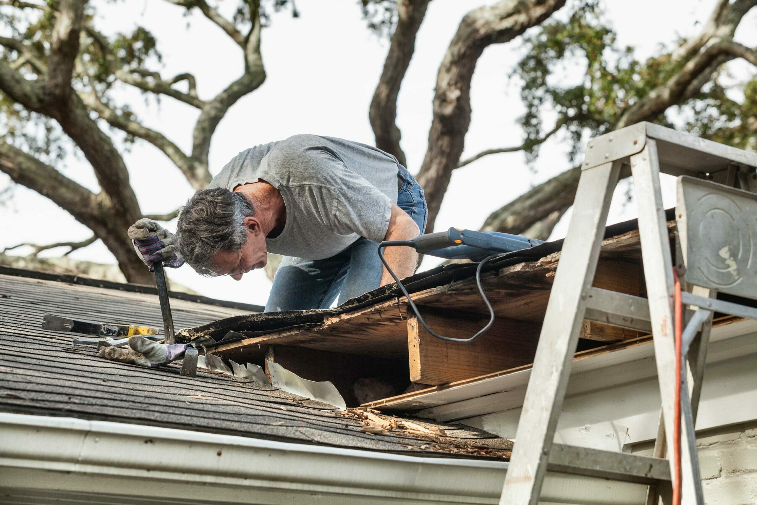 storm damage roof repair in Winterpark