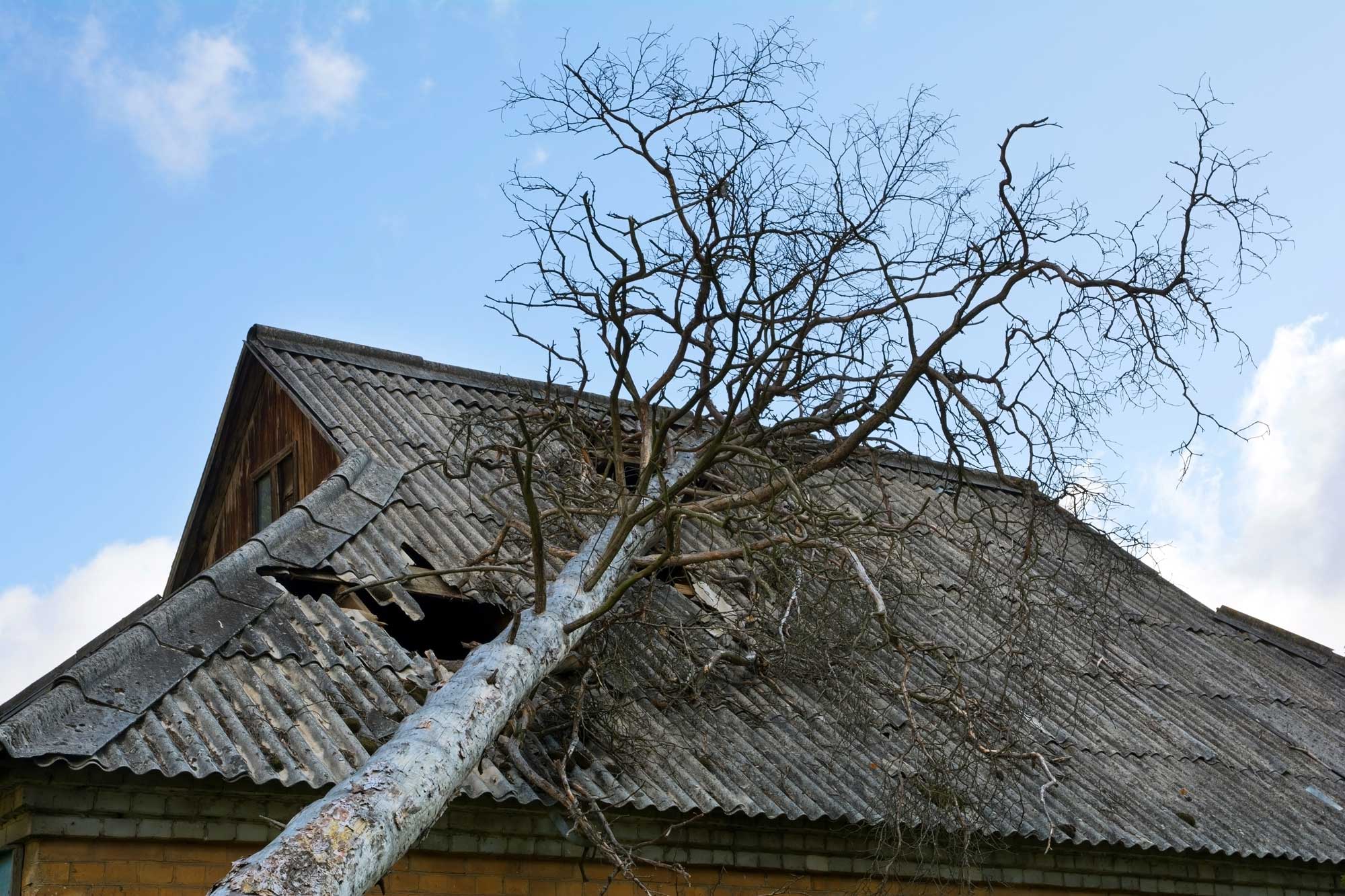 roof wind damage, wind damage repair, storm damage repair