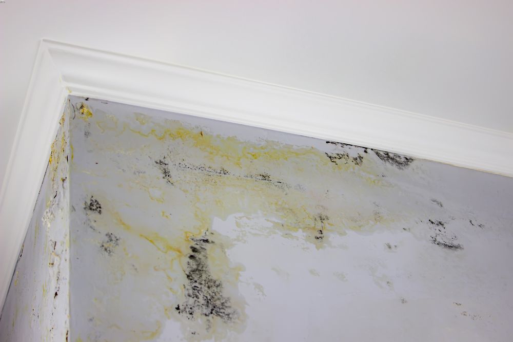 how to prevent a roof leak in Denver