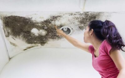 Common Causes of Roof Leaks and How to Prevent a Roof Leak