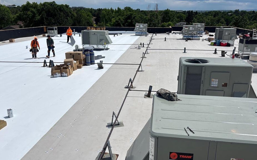 5 Most Common Roofing Materials and Which Is Right for Your Property