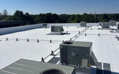 Commercial Roof Leak Repair in Denver: Top Causes, Warning Signs, and When to Call a Pro